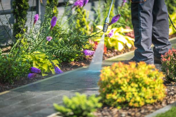 Reliable Selma, NC Pressure Washing Services Solutions